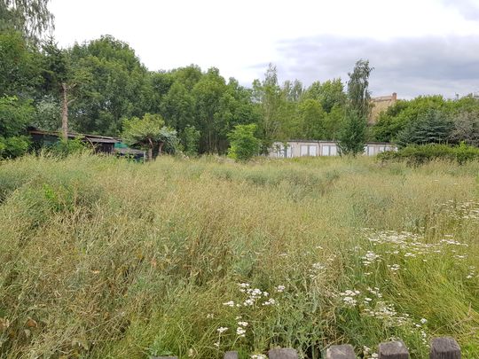 Singles altenburger land